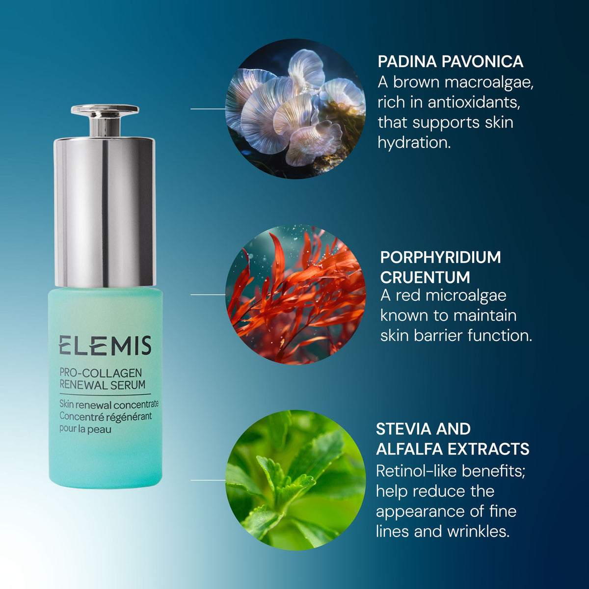 Pro-Collagen Renewal Serum